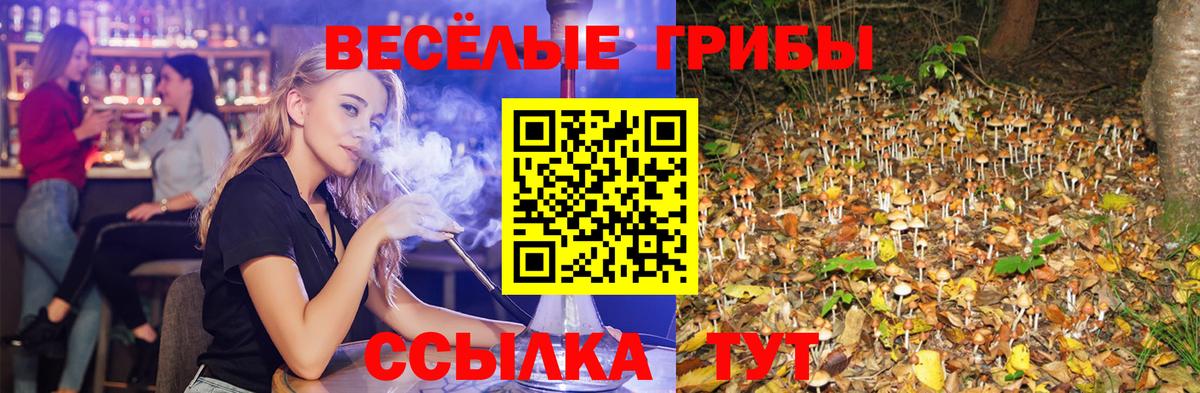 Псилоцибиновые грибы GOLDEN TEACHER  Вход с VPN  как найти закладки  Балтийск 