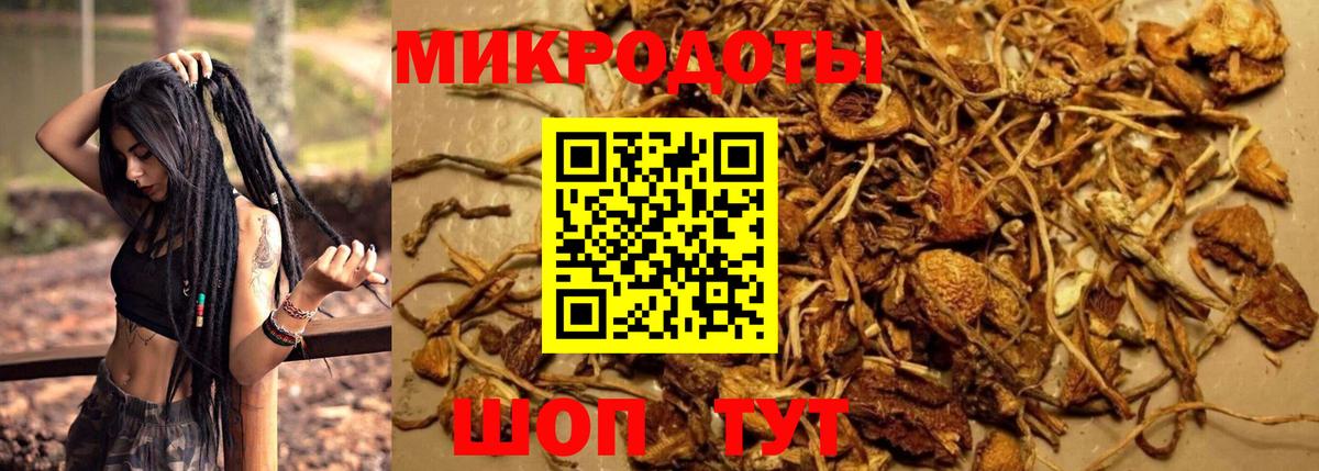 Галлюциногенные грибы MAGIC MUSHROOMS Балтийск